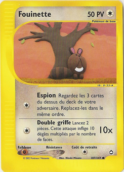 Fouinette 107/147