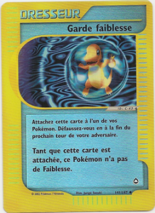 Garde faiblesse 141/147