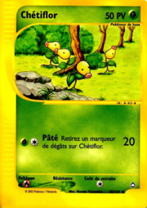 Chétiflor 45/147