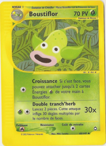Boustiflor 65/147