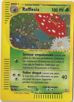 Rafflesia H31/H32