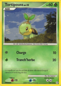 Tortipouss 103/130