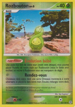 Rozbouton 43/130