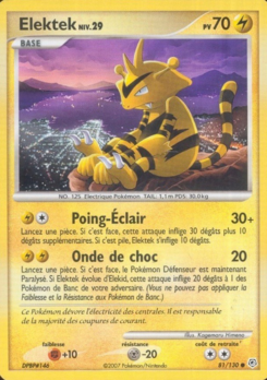 Élektek 81/130