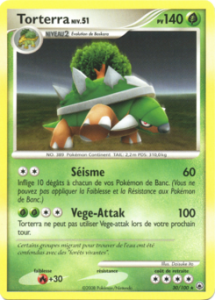 Torterra 30/100