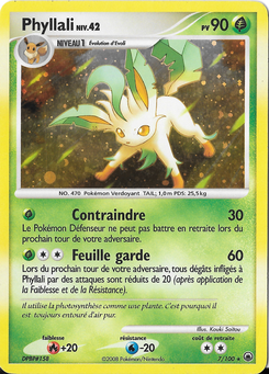 Phyllali 7/100
