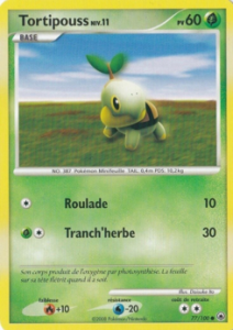 Tortipouss 77/100