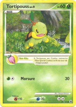 Tortipouss 78/100