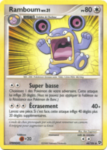 Ramboum 44/106