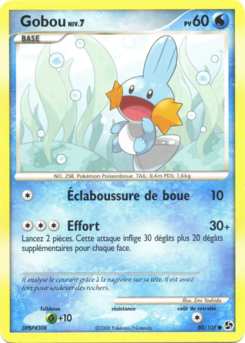 Gobou 80/106