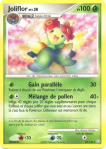 Joliflor 20/146