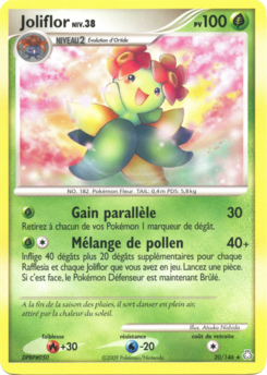 Joliflor 20/146
