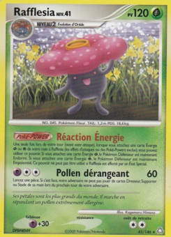 Rafflesia 45/146