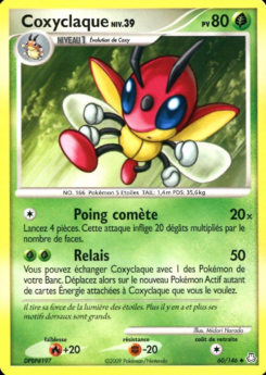 Coxyclaque 60/146