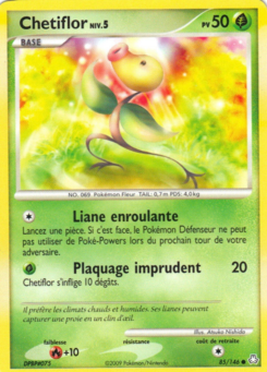 Chetiflor 85/146