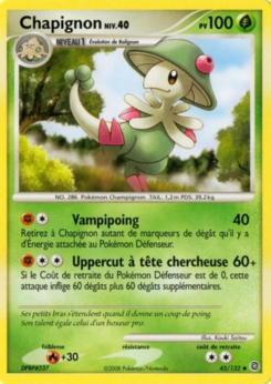 Chapignon 45/132