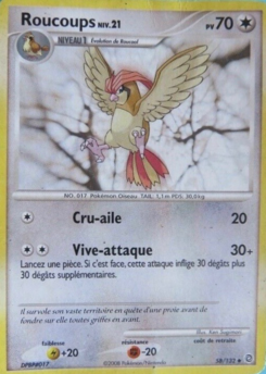 Roucoups 58/132