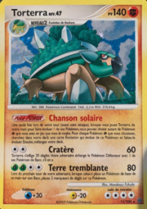 Torterra 11/100