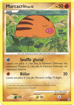 Marcacrin 77/100