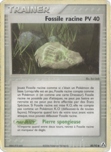 Fossile racine 80/92