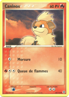 Caninos 64/112