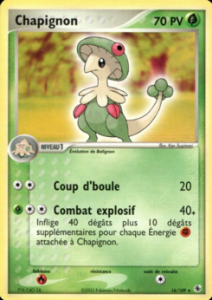 Chapignon 16/109