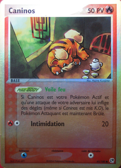 Caninos 65/100