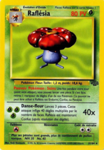Rafflesia 31/64