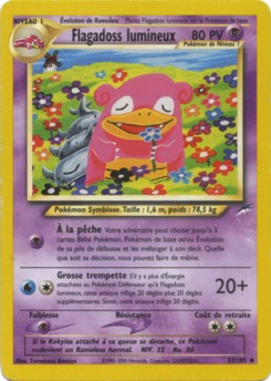 Flagadoss lumineux 51/105