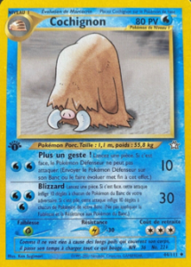 Cochignon 44/111