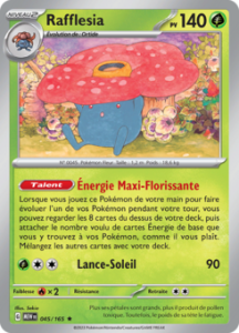 Rafflesia 045/165