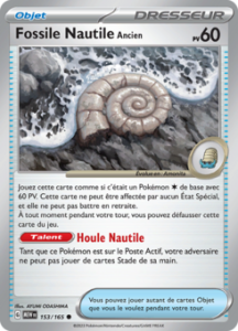 Fossile Nautile Ancien 153/165