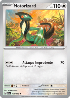 Motorizard 163/198