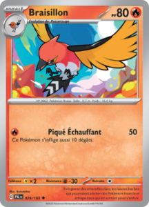 Braisillon 029/193
