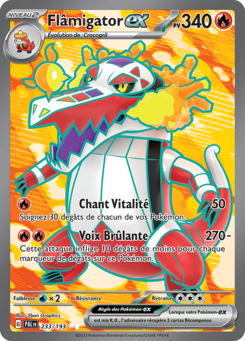 Flâmigator 233/193