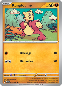 Kungfouine 096/182