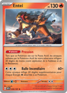 Entei 030/197