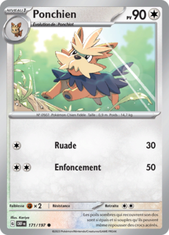 Ponchien 171/197