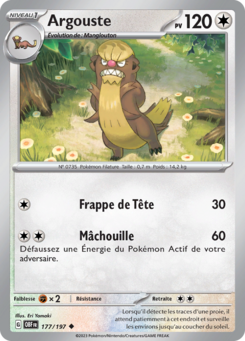 Argouste 177/197