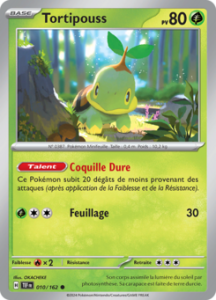 Tortipouss 010/162