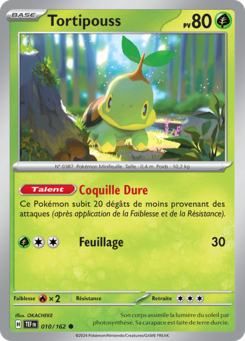 Tortipouss 010/162