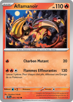Aflamanoir 031/162