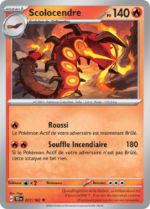 Scolocendre 037/162
