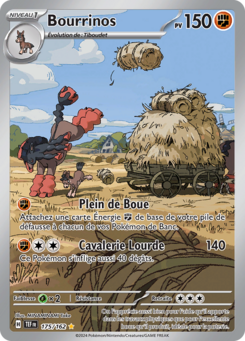 Bourrinos 175/162