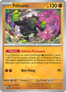 Félicanis 111/167