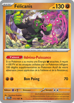 Félicanis 111/167