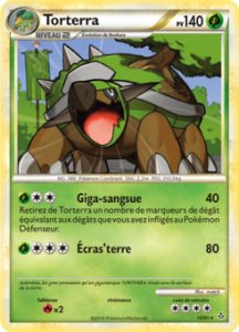 Torterra 10/95