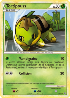 Tortipouss 67/95