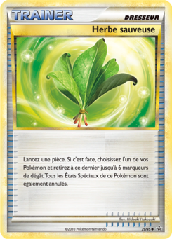 Herbe sauveuse 79/95