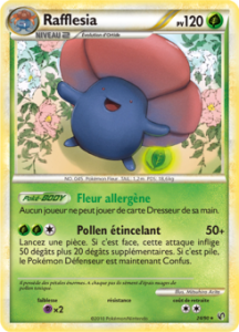 Rafflesia 24/90